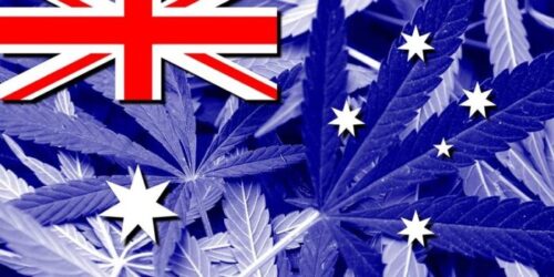 Workplace Testing Implications of Legal Cannabis in Australia